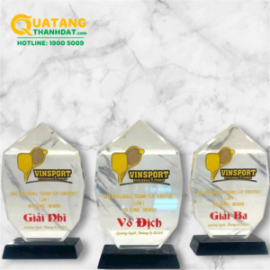 Kỷ niệm chương, Cúp Pickleball TD-176