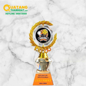 Kỷ niệm chương Pickleball TD-179 Cao Cấp