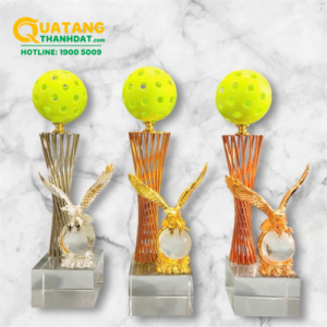 Kỷ niệm chương Pickleball TD-181 Cao Cấp