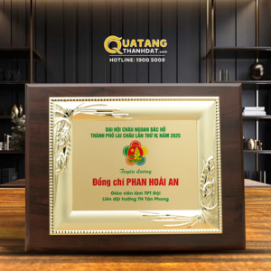  Bảng Tuyên Dương Cá Nhân - BVD19