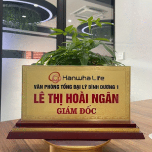 Bảng Chức Danh Đồng Ăn Mòn - BCD2