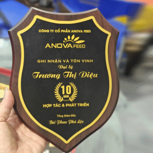 Bảng Vinh Danh Gỗ Hình Chiếc Khiên - BVD 32