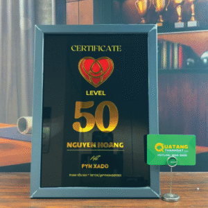 Bảng Vinh Danh Tráng Gương Hot Trend